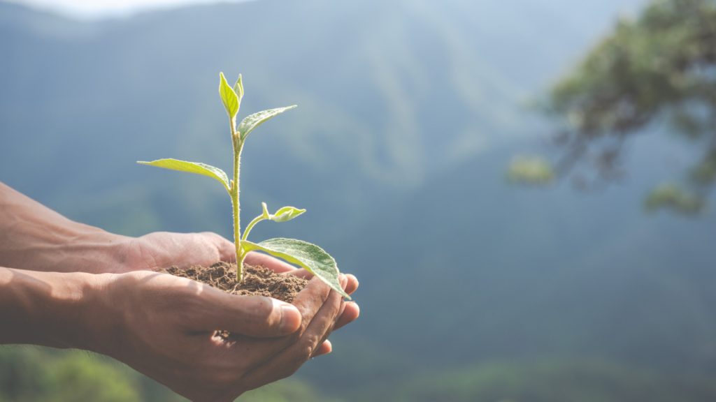 Hygiénisation des biodéchets : pourquoi c'est essentiel pour l'environnement ?